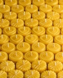 field of beeswax tealights