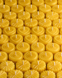 Many pure beeswax tealight candles
